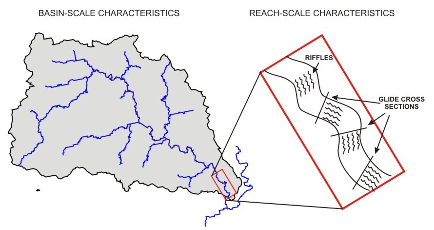 Schematic of drainage basin and study reach relation
